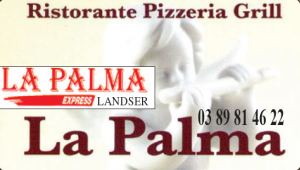 Logo Palma