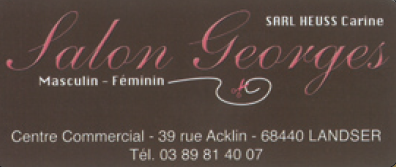 Logo Salon de coiffure Georges a Landser